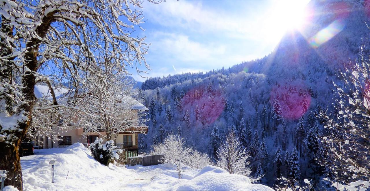 Hotel-Gasthof Mauthaeusl Schneizlreuth Dış mekan fotoğraf