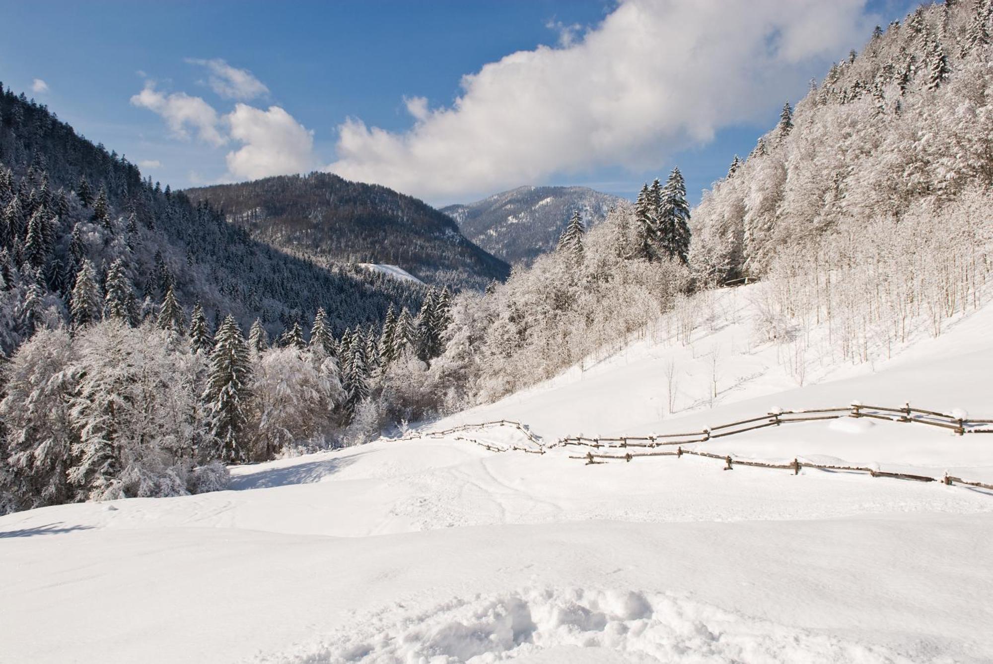 Hotel-Gasthof Mauthaeusl Schneizlreuth Dış mekan fotoğraf