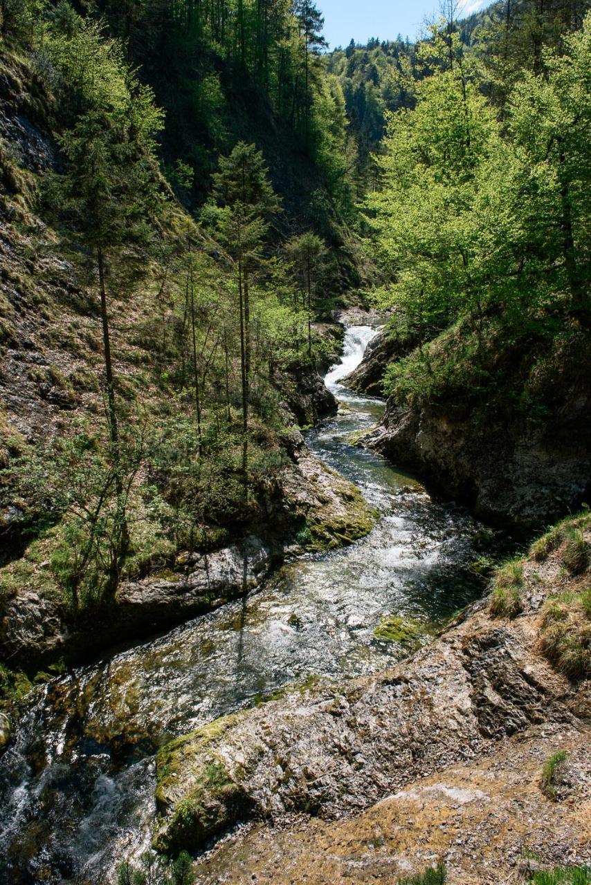 Hotel-Gasthof Mauthaeusl Schneizlreuth Dış mekan fotoğraf