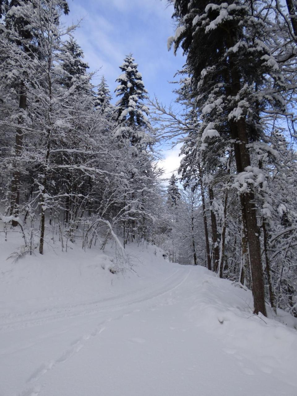 Hotel-Gasthof Mauthaeusl Schneizlreuth Dış mekan fotoğraf